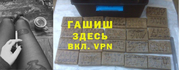 гашик Пересвет