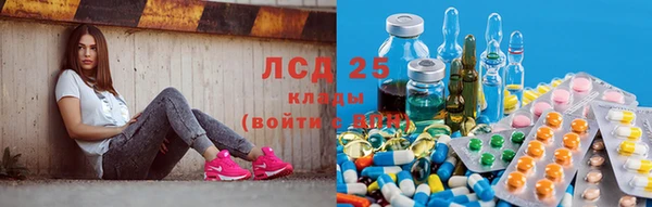 гашик Пересвет