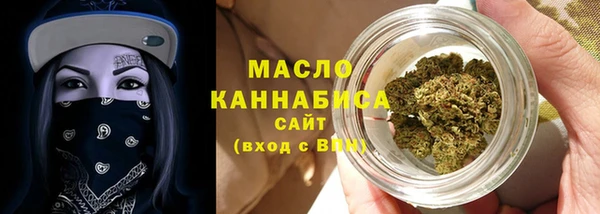 гашик Пересвет