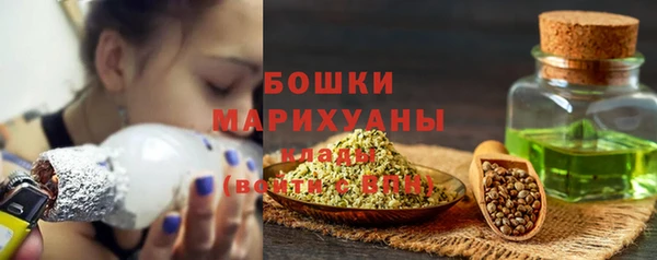 гашик Пересвет