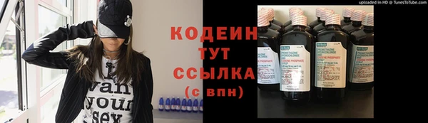 гашик Пересвет