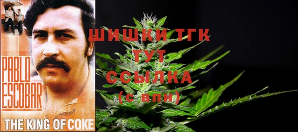 гашик Пересвет