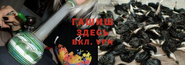 гашик Пересвет