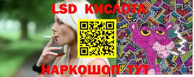 прущие грибы Абакан