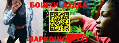прущие грибы Абакан