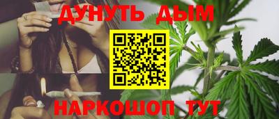 прущие грибы Абакан