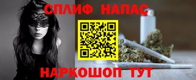 прущие грибы Абакан
