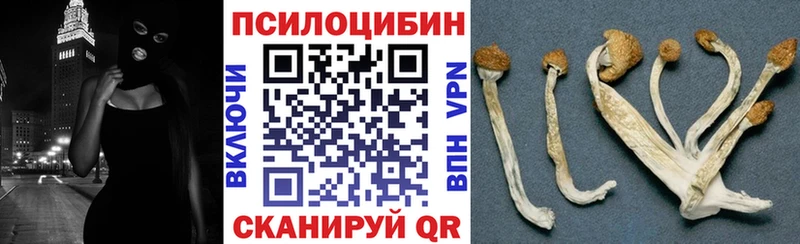 Псилоцибиновые грибы Magic Shrooms  Алатырь 