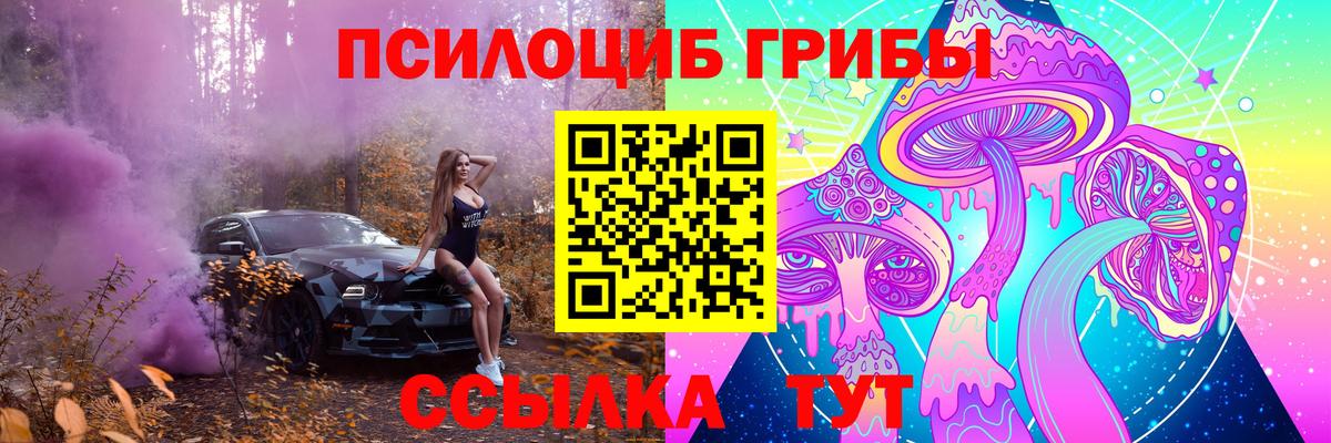 Галлюциногенные грибы Magic Shrooms  Вход с VPN  Галлюциногенные грибы Cubensis  Алатырь 