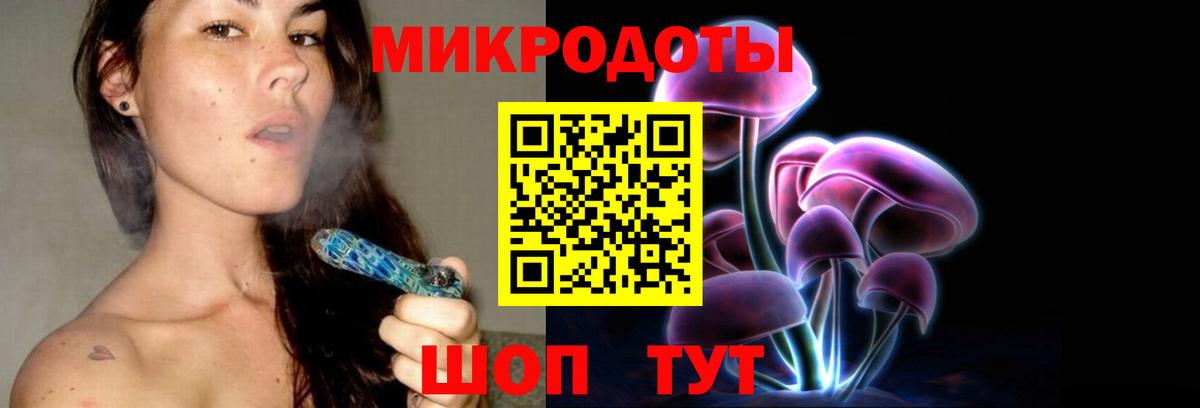 Псилоцибиновые грибы мицелий Алатырь